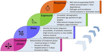 Key Components for Antibiotic Dose Optimization of Sepsis in Neonates and Infants